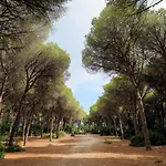 Ricali By Interhome Villa