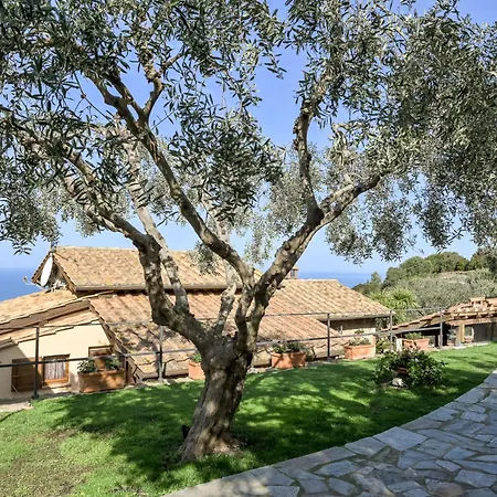 Ricali By Interhome * Porto Santo Stefano